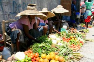 Empowering the People of Haiti: HDN Foundation’s Roadmap to Self-Reliance