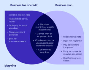 Business Line of Credit vs Business Loan: Which is Right for Your Company?